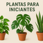 plantas para iniciantes